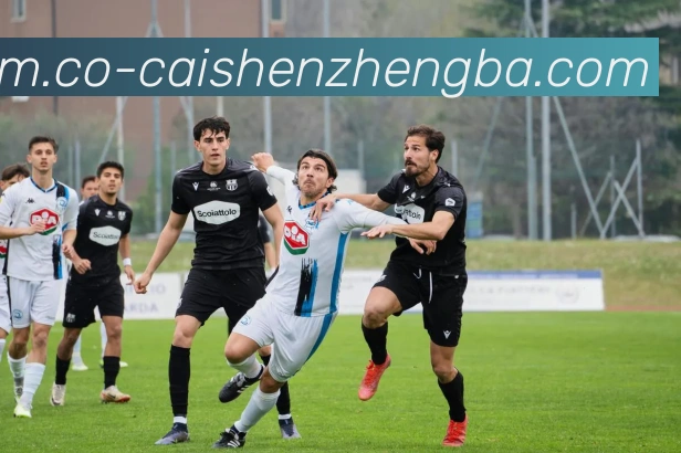 彩神争霸APP 体育赛事宣传图